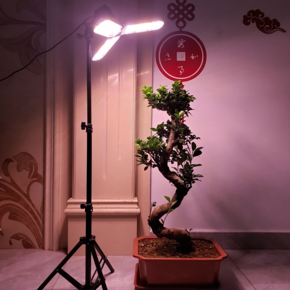 Light Bulb Stand 2M, E27 AC So - Photography Umbrella Lights recension och pris