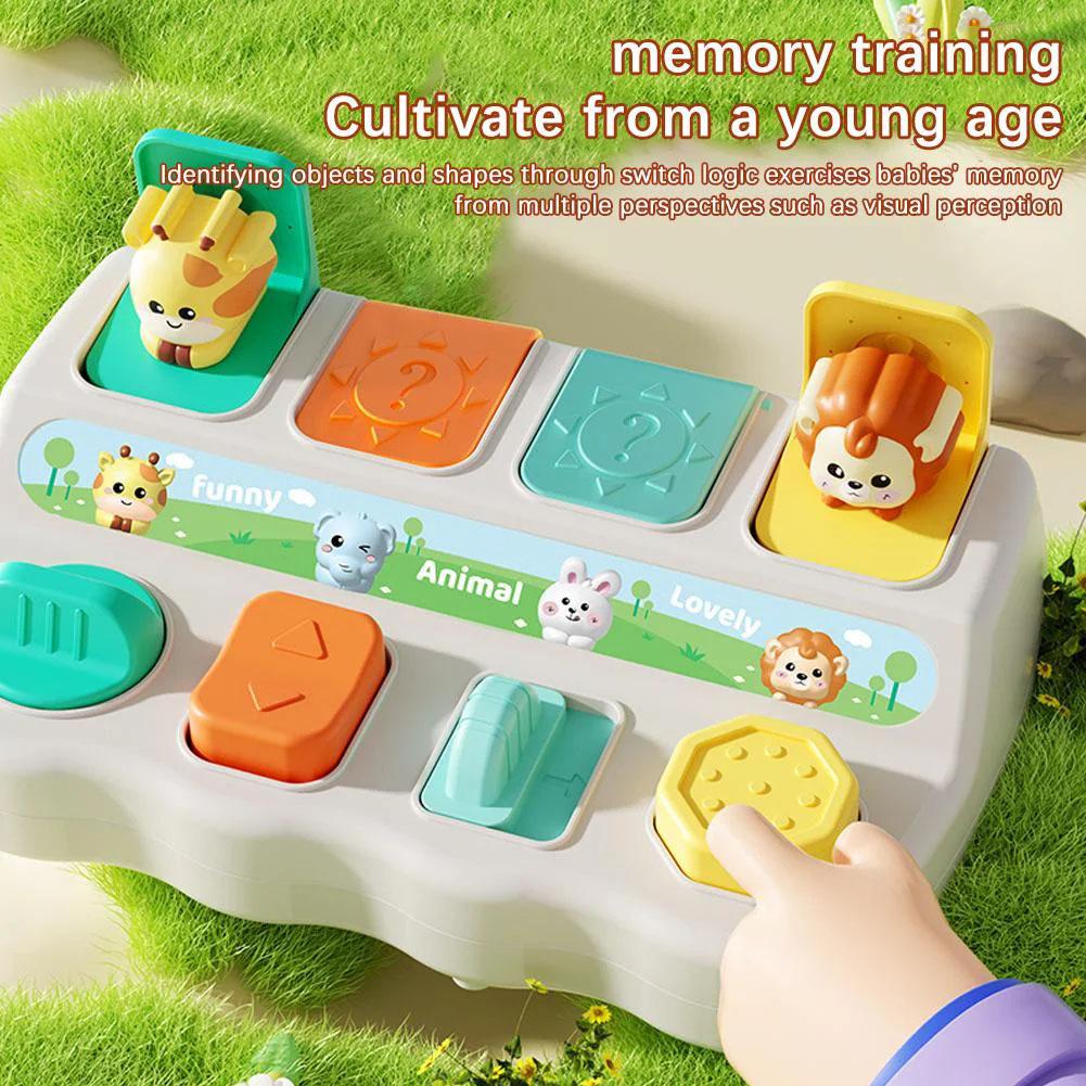 Montessori Pop up Animal Toys  - Photography Jokes recension och pris
