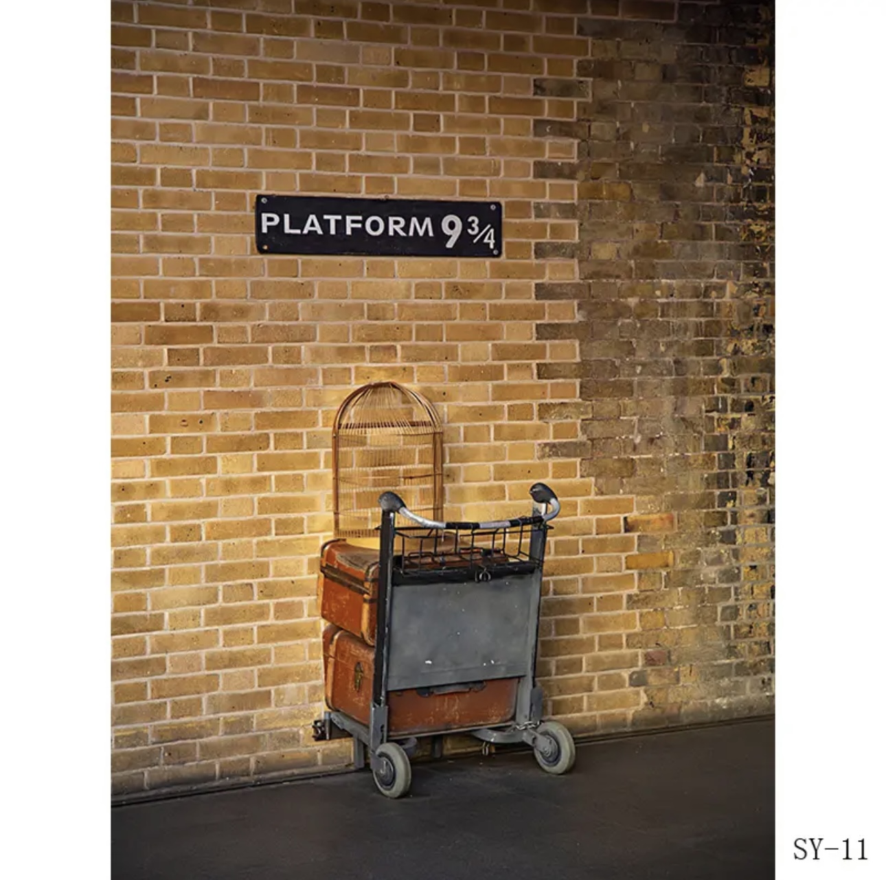 Platform 9 3/4 King railway St - Photography Trick recension och pris
