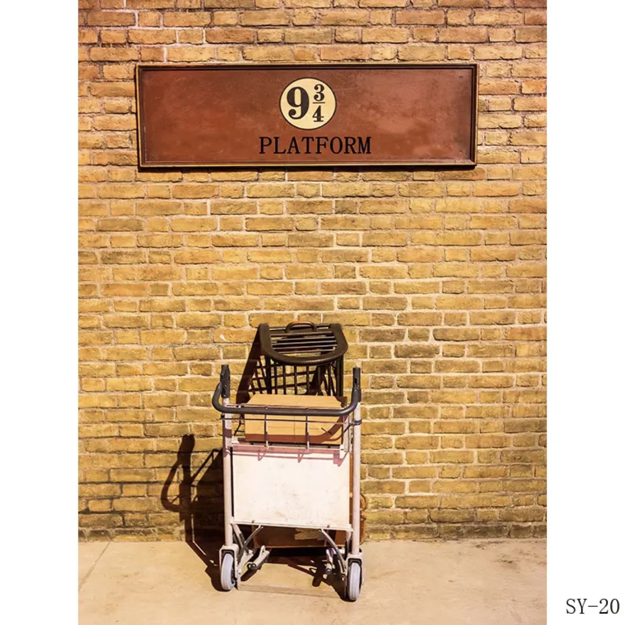 Platform 9 3/4 King railway St - Photography Trick recension och pris